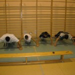 DSCN2677